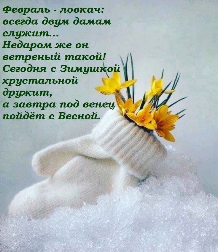 Февраль ловкач всегда двум дамам служит Недаром же он ветреный такой Сегодня с Зшиуш о хрустальной дружили а завтра под венец пойдёт с Весной и
