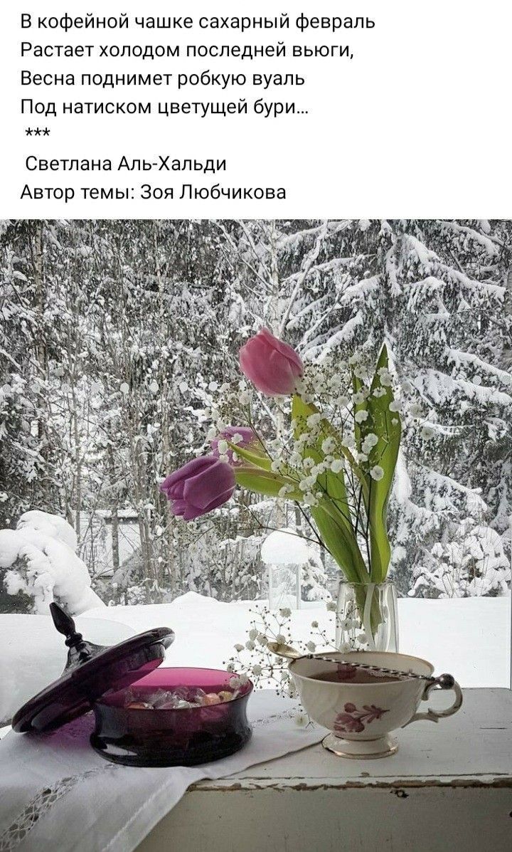 В кофейной чашке сахарный февраль Растает холодом последней вьюги Весна поднимет робкую вуаль Под натиском цветущей бури Светлана Апь Хальди Автор темы Зоя Любчикова