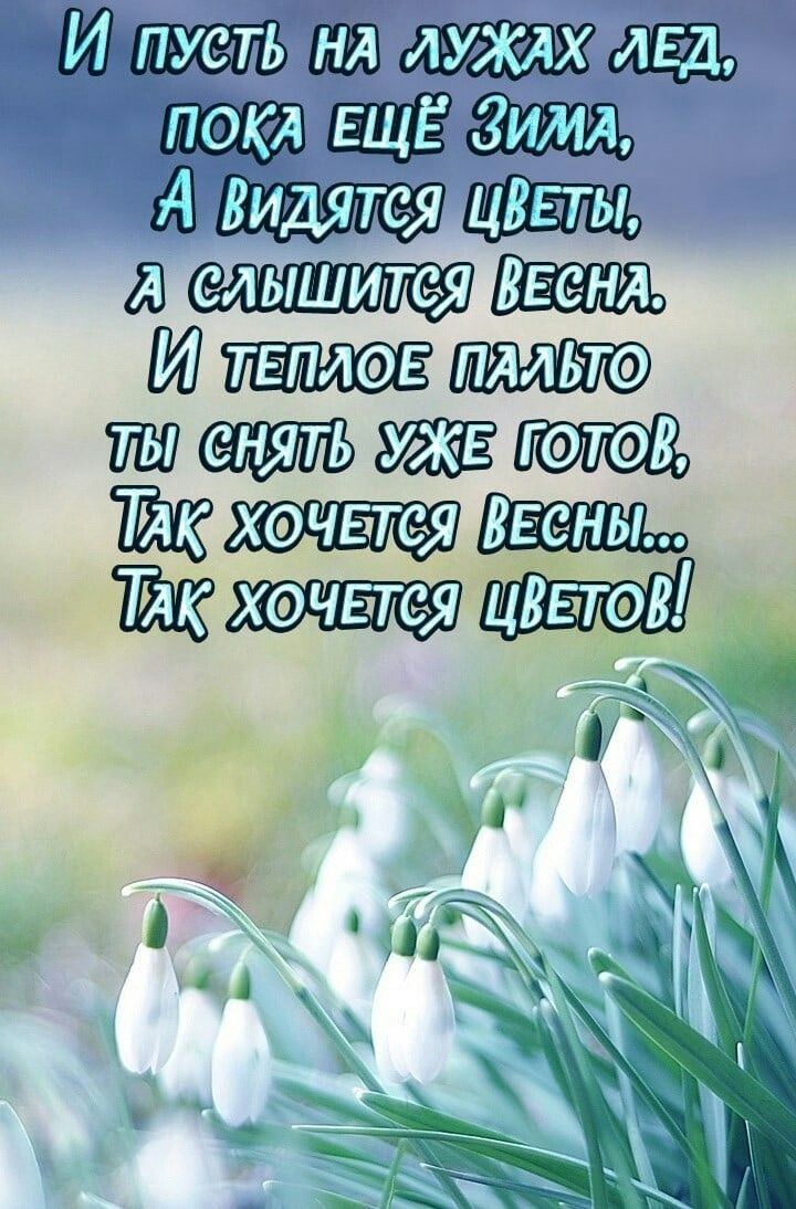 М тщвёшъ л Ит ш ТЖ хэчвтея цвтов