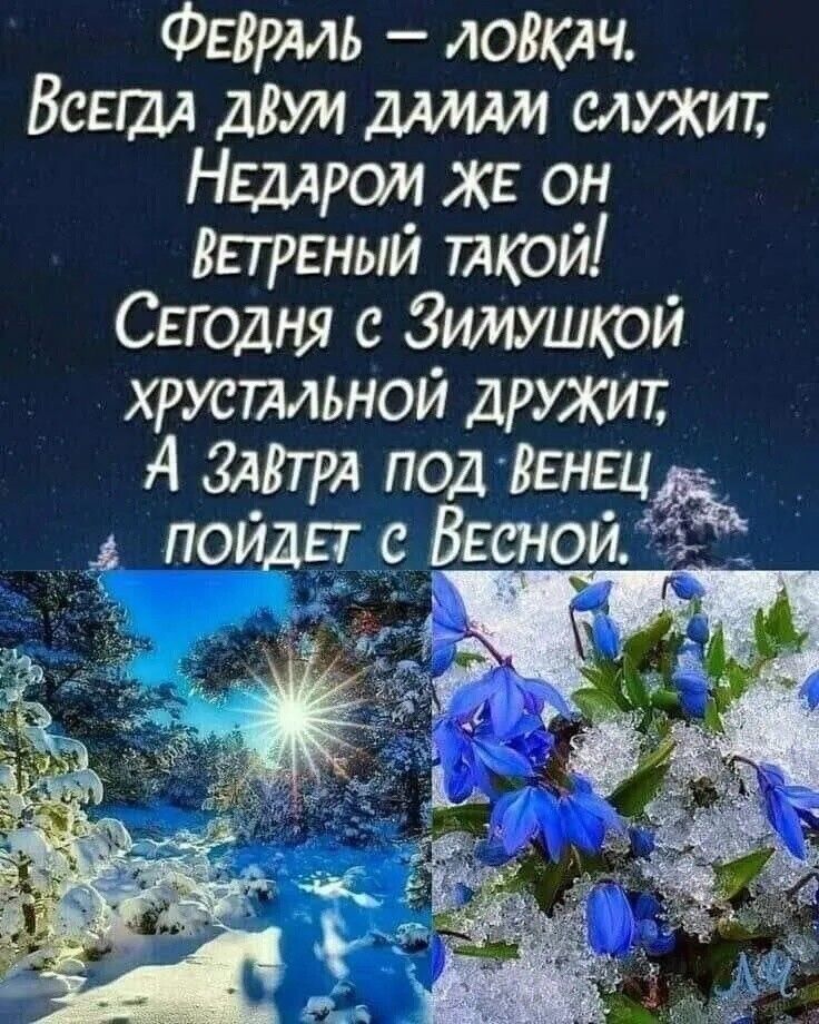 ФЕВРАЛЬ ЛОВКАЧ Всегдл діти служит Ншром ЖЕ он вареным ткои Свгодня с Зимушкой хрустмои дружит А ЗАтА под Венец пойди с 7550110333153