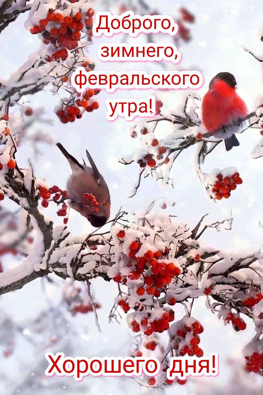 Ч ъ лпоброго  ноброгоъ . Ч зимчего ый зоггьс.ого р  ёж утац й