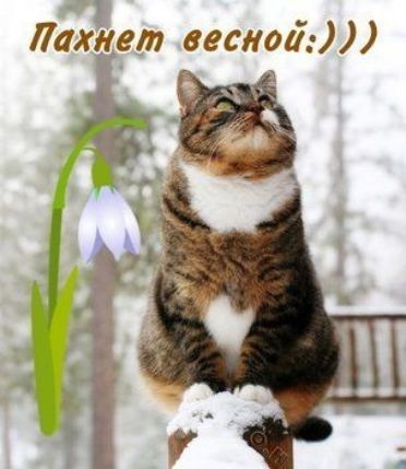 1 ащеп весна