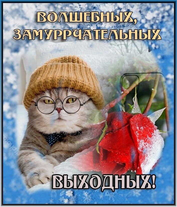 Сроаслр тои учлце реч о шебны у,ф