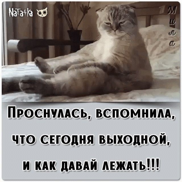 59 Проснчмсь вс помним_ что сегодня выходной и КАК дАвдй мждть