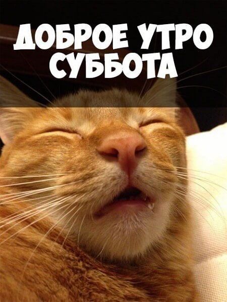 БОБРОЕ УТРО СУББОТ