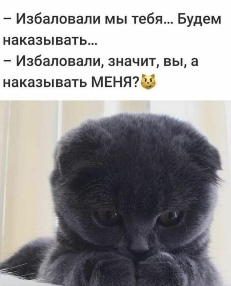Избаловали мы тебя Будем наказывать Избаловапи значит вы а наказывать МЕНЯ
