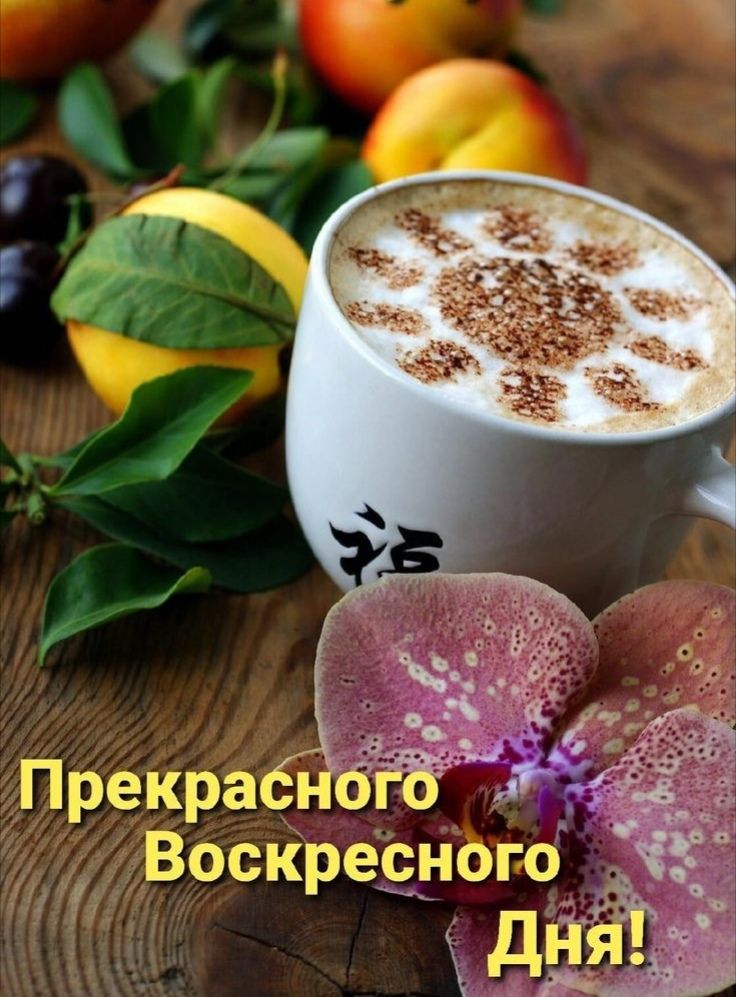 25 1 ч Прекра 6 155 _в Воскресного днём