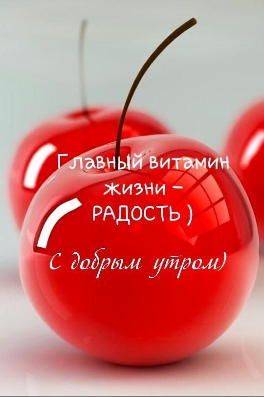 ит жизни РАДОСТЬ додБыл рдчом