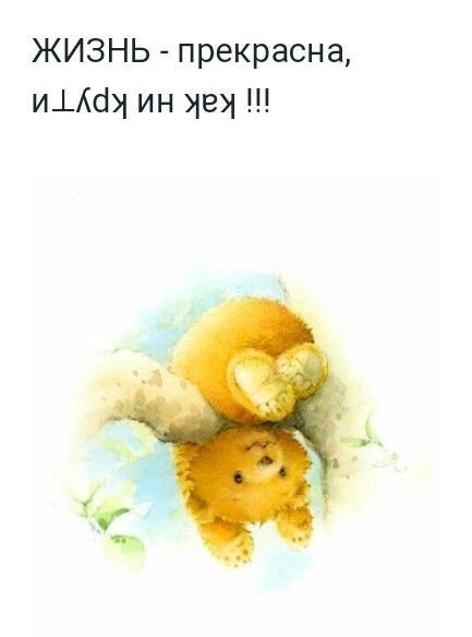 ЖИЗНЬ прекрасна ИДШи ин хех