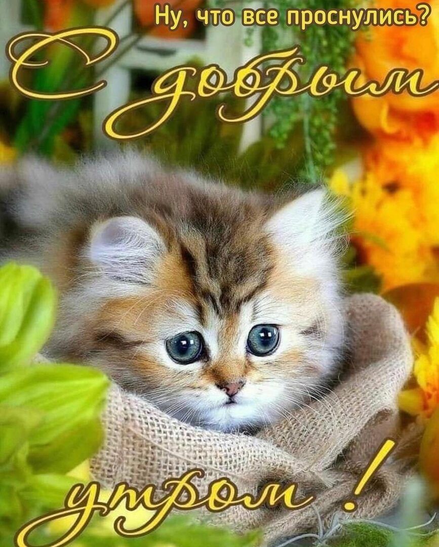 тисьт цчросну