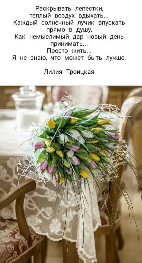 Раскрывать лепестки теплый воздух вдьиать Каждьш солнечный пучик впускать прямо в души Как немьюпимьй дар новый день принимать Просто жить Я не знаю что может быть лучше Лилия Троицкая