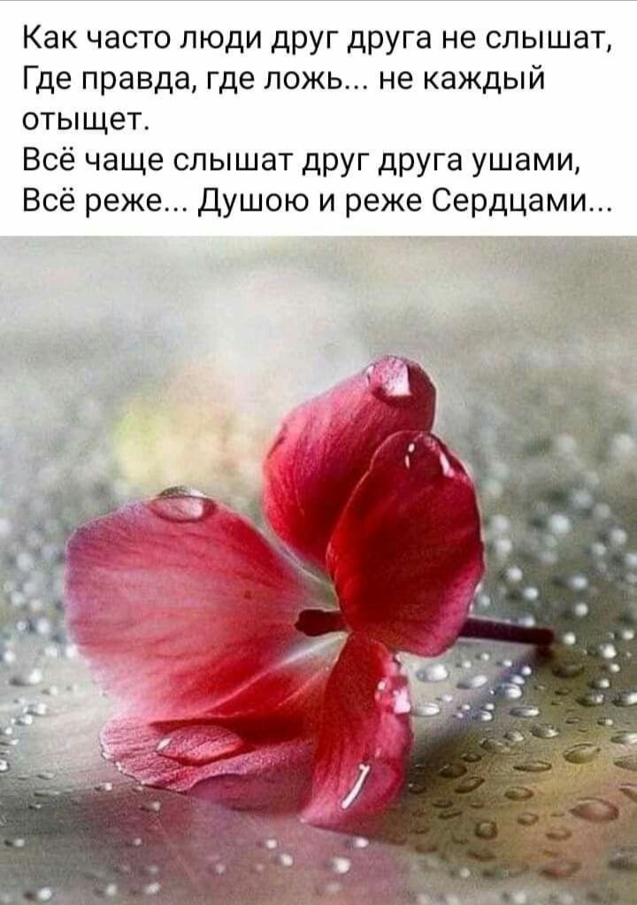 Как часто люди друг друга не слышат Где правда где ложь не каждый отыщет Всё чаще слышат друг друга ушами Всё реже Душою и реже Сердцами