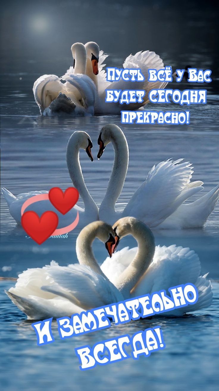 _ Д шать эЕУ Бес БулиСЕГОДНЯ ПРЁЁЙСНО