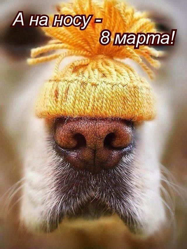 Ме новуа а наносуе