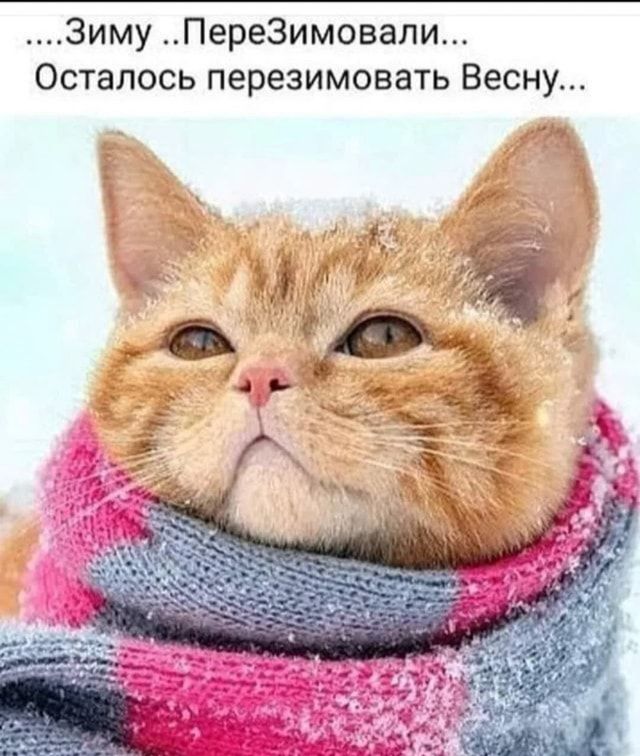 Зиму ПереЗимовали Осталось перезимовать Весну