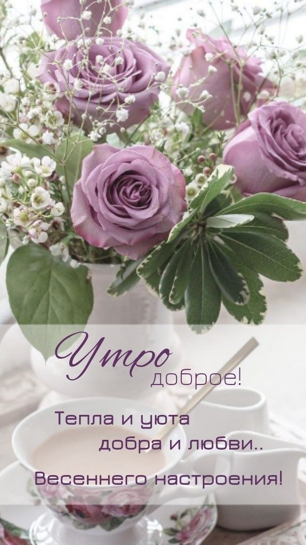 трл Доброе Тепла и уюта Добра и любви Весеннего настроения и ЧЁ