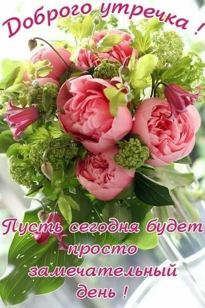 п а ее