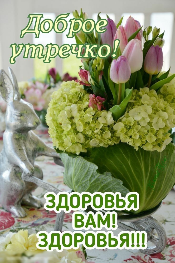 Здорвья