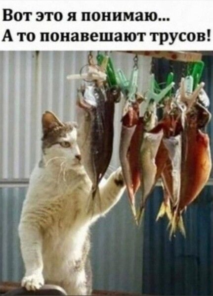 Вот это я понимаю А то понавешают трусов