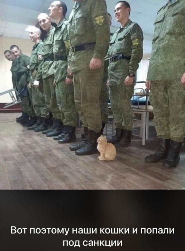 ВОТ ПОЭТОМУ НЗШИ КОШКИ И попали под санкции