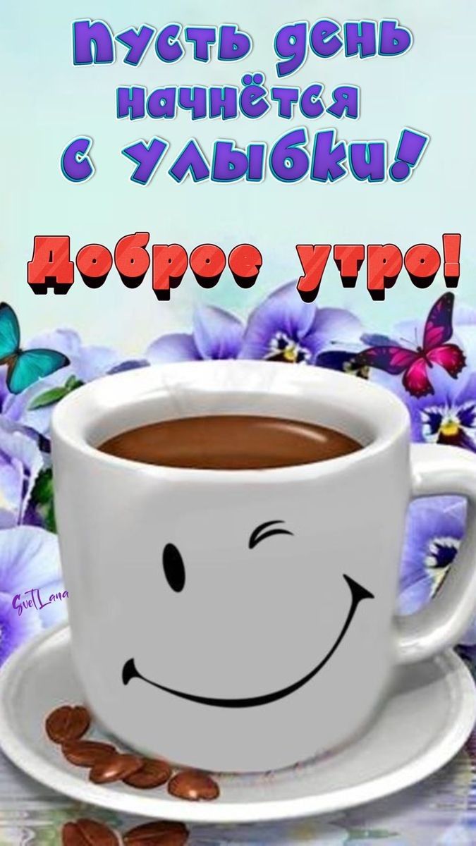 птиц 905 начнём _ Ухта добри лпоі