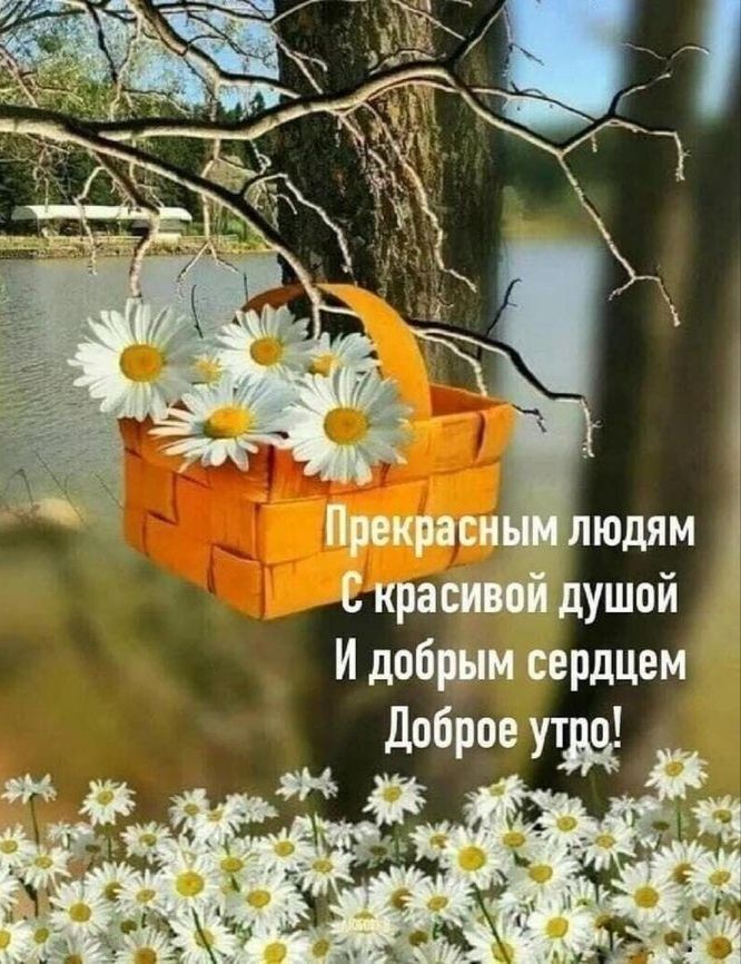 С кра душой И добрым сердцем доброе
