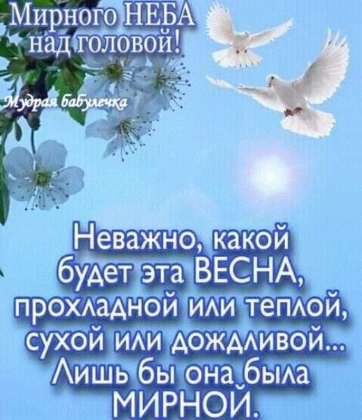 сухой Чим А и ш ьбыЮнаібьма