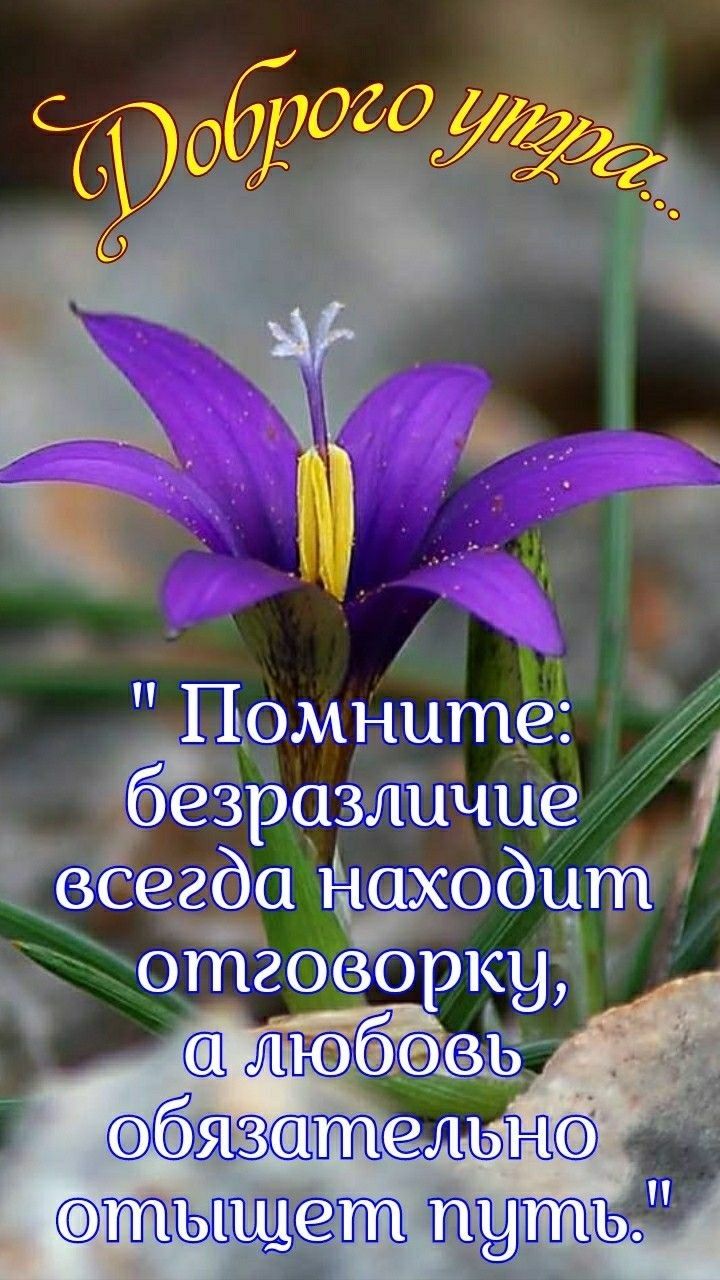 пэмнит