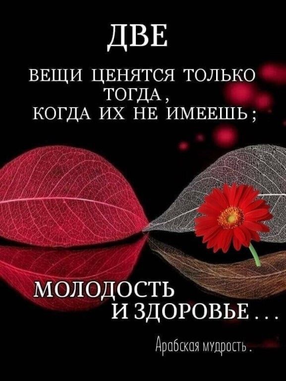 ДВЕ ВЕЩИ ЦЕНЯТСЯ ТОЛЬКО ТОГДА КОГДА ИХ НЕ ИМЕЕШЬ МОЛОДОСТЬ И ЗДОРОВЬЕ Арабская мудропь