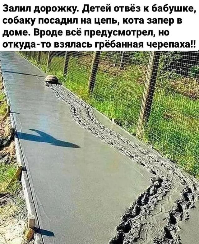 Залил дорожку детей отвёз к бабушке собаку посадил на цель кота запер в доме Вроде всё предусмотрел но откуда то взялась грёбанная че епаха