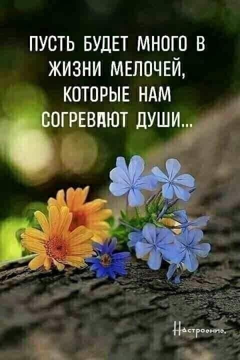 ПУСТЬ БУДЕТ МНОГО В ЖИЗНИ МЕЛПЧЕЙ КОТПРЫЕ НАМ СОГРЕВПЮТ ДУШИ