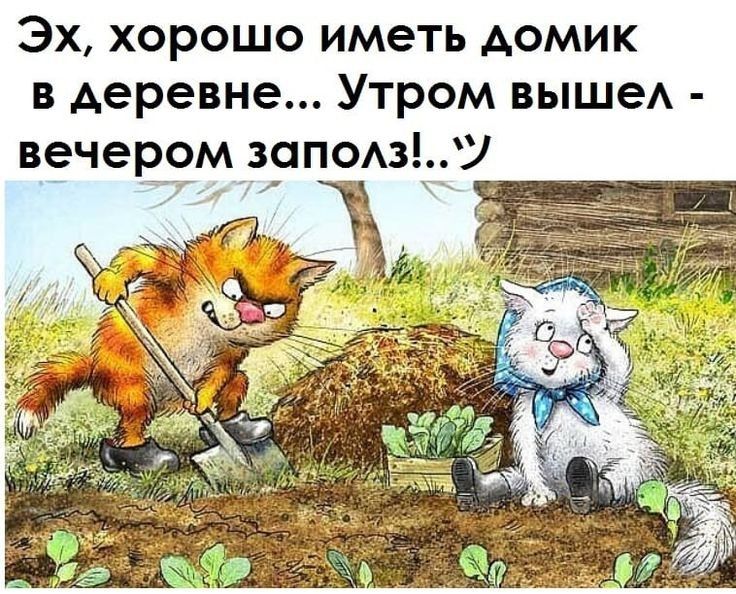 Эх хорошо иметь домик в деревне Утром выше вечером залевц