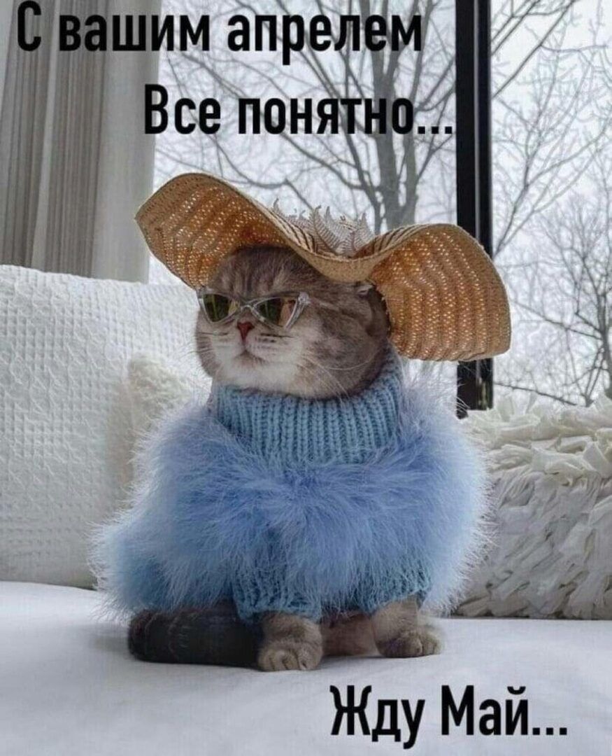 Жду Ма