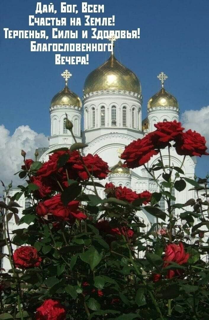 дий Епг Вим Пчпптьн нп Емпв Твипнньи Пилы и д пья Елигпплпввннпг Пвчш