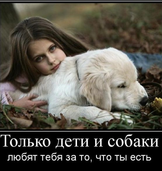 Только Дети И собаки любят тебя за то что ты есть