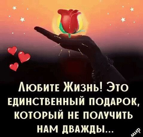 Аюьит Жизнь Это Единственный поддрок который нв подучить ндм двджды