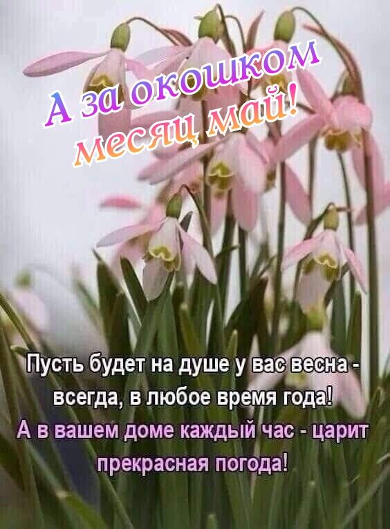 Пусть будет на душе улвас весна всегда в любое время года А в вашем доме каждый час царит прекрасная погбда