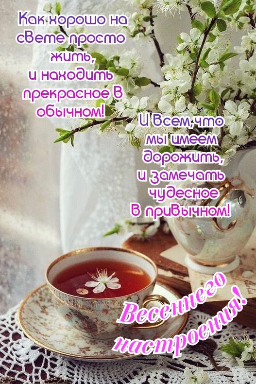 Нок норошо но сВете просто жыгтчьтъфцк и находить д пренросноё В 9 обычн9мЁ мьі имеем дорожитЬ