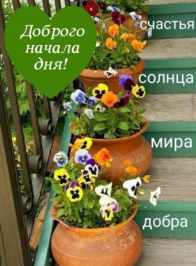 _ _ э Доброго на чала
