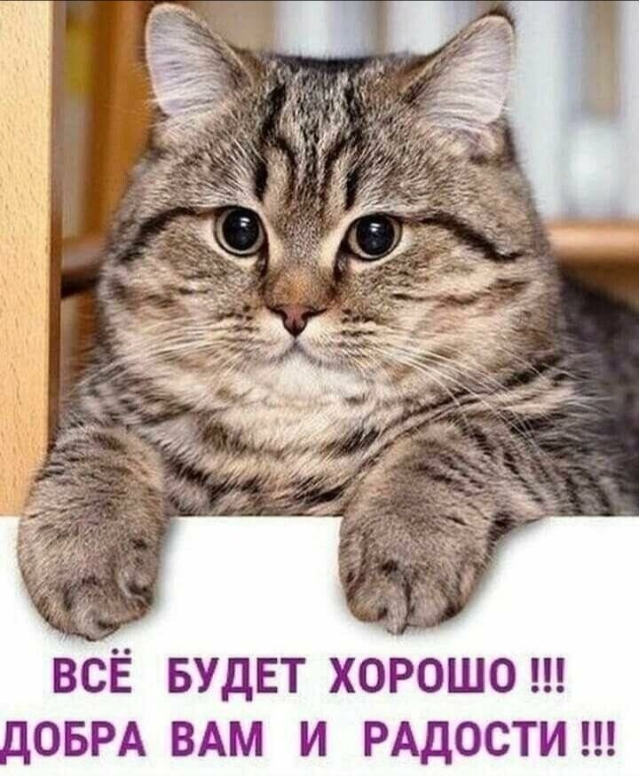 7 ВСЁ БУДЕТ ХОРОШО ПОБРА ВАМ И РАДОСТИ
