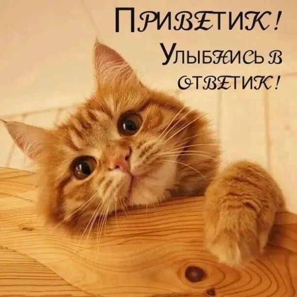 Пумгвътиэш 5 Улывэалсьгв ОТЗЪТИУС