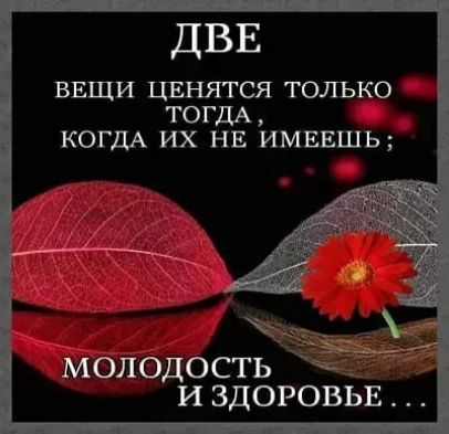 ДВЕ ВЕЩИ цвнятся только ТОГДА КОГДА их НЕ ИМЕЕШЬ Молбдость И ЗДОРОВЬЕ