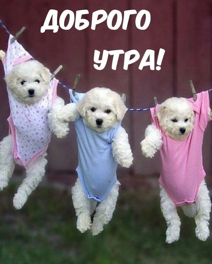 АОБРОГО