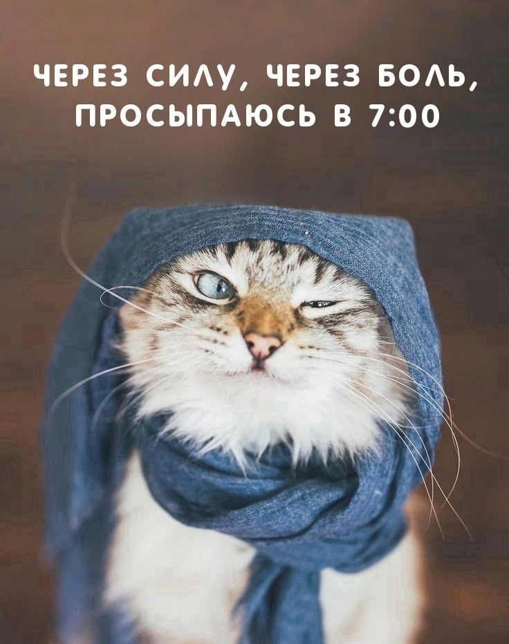 ЧЕРЕЗ СИАУ ЧЕРЕЗ БОАЬ ПРОСЫПАЮСЬ В 700