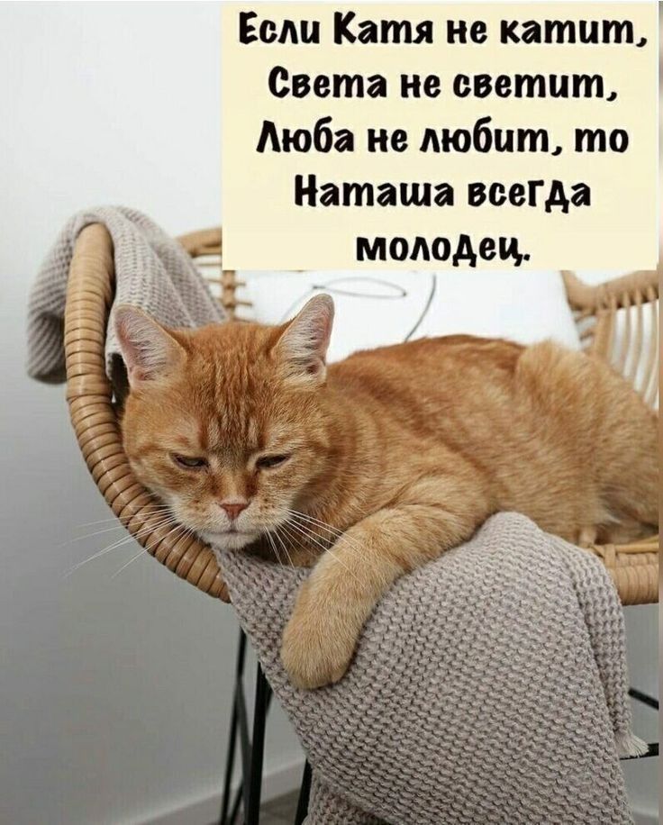 Если Катя не катит Света не светит Аюба не любит то Наташа всегда молодец