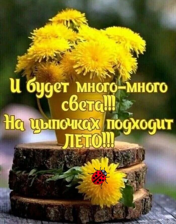 ъ1чк М 69903 многоімного сбе на из