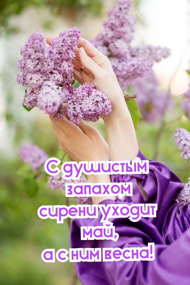 сгс ним весна