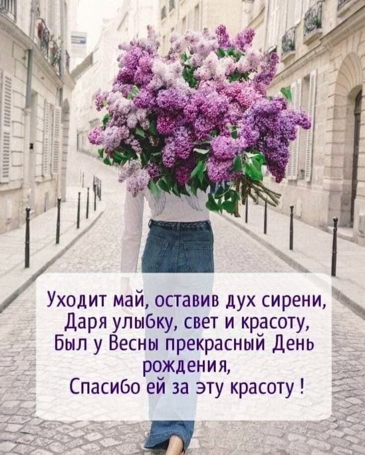 Уходит май оставив дух сирени Дари улыбку свет и красоту Был у Весны прекрасный день рождения Спасибо ей за эту красоту
