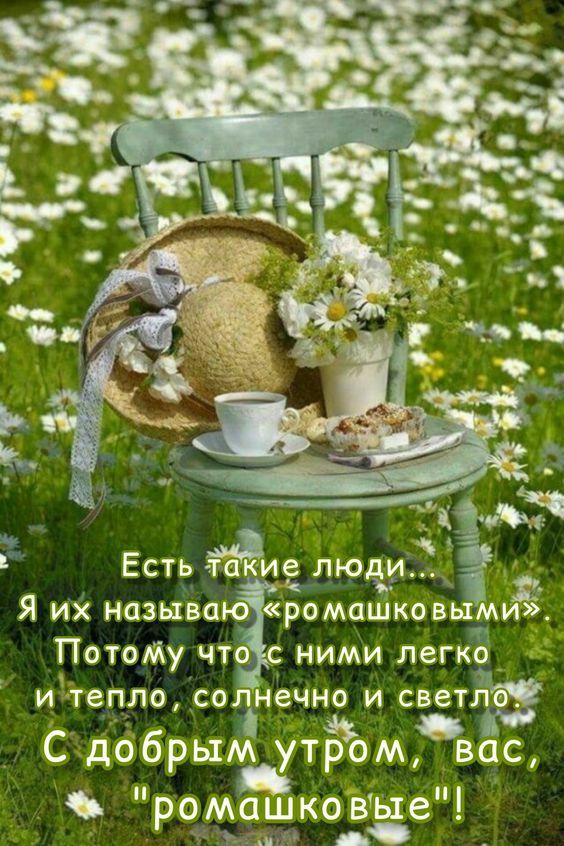 _ Есть ЁЁМ люди ТЧ Я их называ ромашковь Потату чт ними легко і итепло СО ечно И СВеТЛ сдббрым троМвЁс омашковые р д