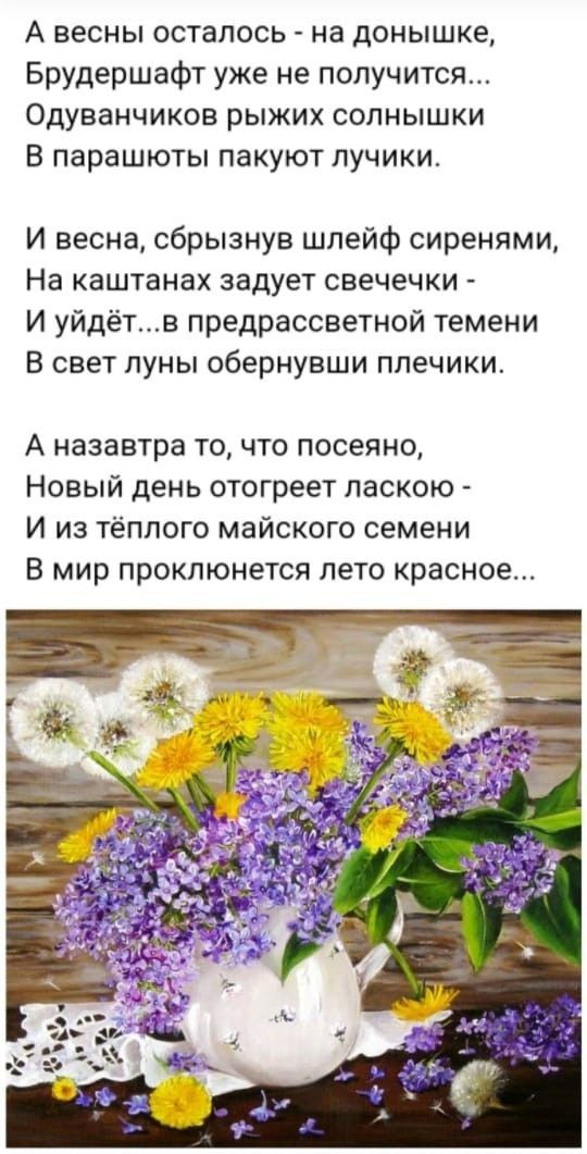 А весны осталось на донышке Брудершафт уже не получится Одуванчиков рыжих солнышки В парашюты пакуют лучики И весна сбрызнув шлейф сиренями На каштанах задует свечечки И уйдётв предрассветной темени В свет луны обернувши плечики А назавтра то что посеяно Новый день отогреет ласкою И из тёплого майского семени В мир проклюнется лето красное